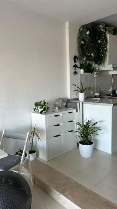 Apartamento Marina Del Sol 121 丰希罗拉 外观 照片
